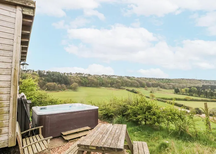 Hébergement de vacances Shepherd's Hut *